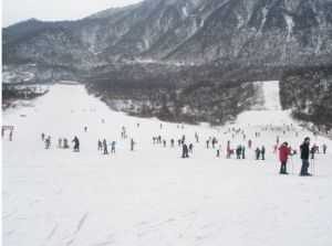 梅花山莊滑雪場