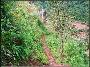 下巴亳村 下巴亳村