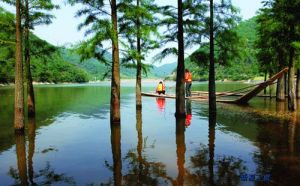 桃花源風景名勝區