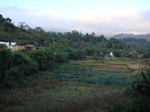 梨樹村一自然村