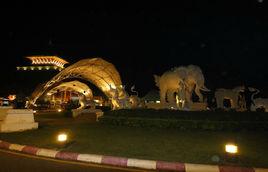 夜間野生動物園