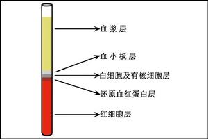 脂肪比容管