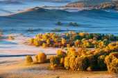 媲美白哈巴、不輸額濟納，它才是最美麗的北國之秋！