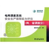 《電網調度系統安全生產保障能力評估：網、省調部分》