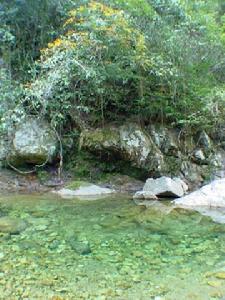 龍巖國家森林公園