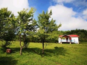三黃谷森林公園 三黃谷森林公園