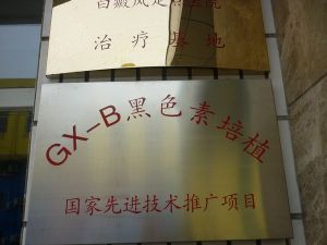 GX-B無痛黑色素細胞培植療法