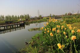 陶沖湖公園