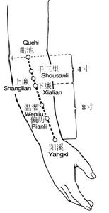 （圖）曲池與上肢的穴位