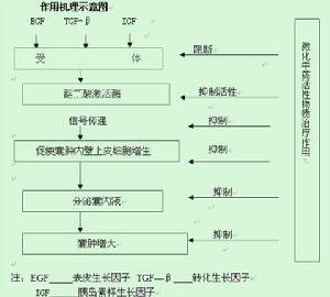 微化中藥滲透療法