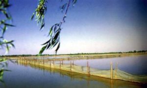 舊城海子 舊城海子