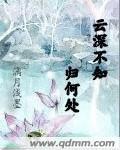 雲深不知歸何處