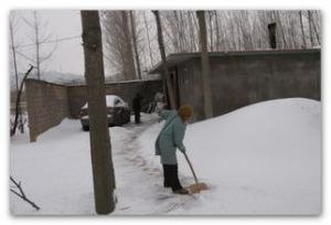 各人自掃門前雪