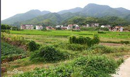 梅嶺村[江西省贛州市上猶縣下轄村]