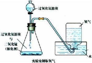 氧氣[氧元素形成的一種單質]