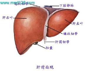 青風內障病