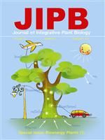 JIPB