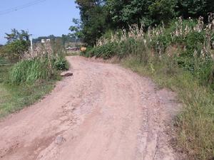 進村道路