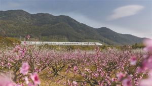 奉化風景