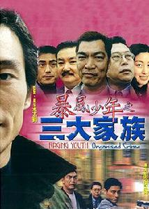暴風少年之三大家族 暴風少年之三大家族