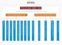 久大集團組織構架