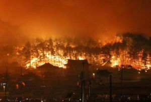 4·4韓國江原道山火事故