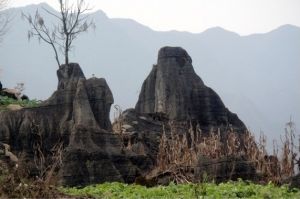 印浸寺石林