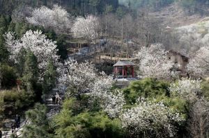 天河景區[湖北十堰]