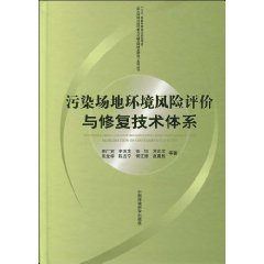 污染場地環境風險評價與修復技術體系