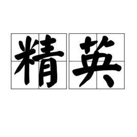 精英[漢語詞語]