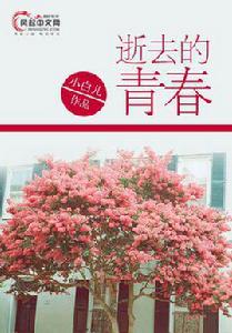 逝去的青春[風起中文網作者小白兒創作的小說]