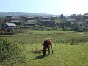 馬散村