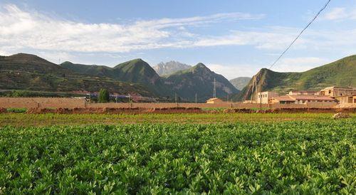 蓮花山北麓康樂縣內地貌