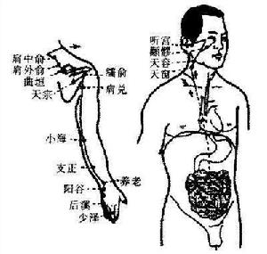 小腸細菌過度生長