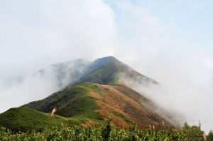 梨樹洲酃峰