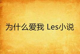 為什麼愛我 Les小說