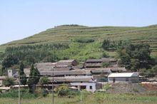 雨柱村