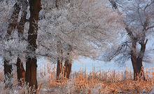 吉林霧凇冰雪節