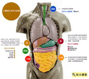 腸道菌群失調症