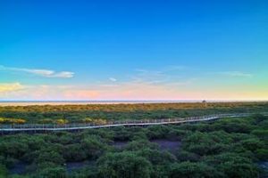 金海灣紅樹林生態休閒度假旅遊區