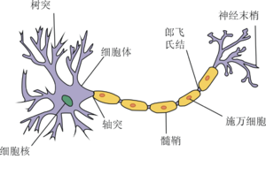 癲病