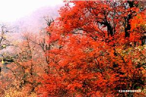 二郎山國家森林公園