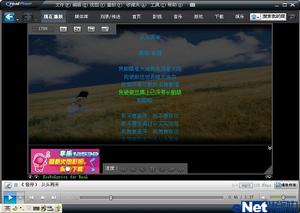 realplayer11