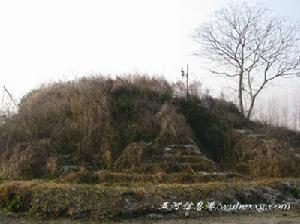 五河申集台子山遺址