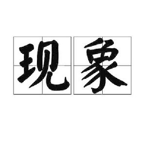 現象[漢字詞語]