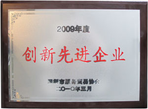 2009年度創新先進企業