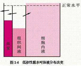 細胞內液