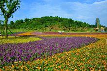 自貢市釜溪河濕地公園