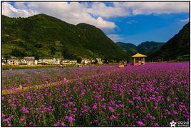 風華鎮[貴州綏陽縣轄鎮]