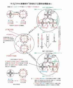 貝塔衰變-模型圖